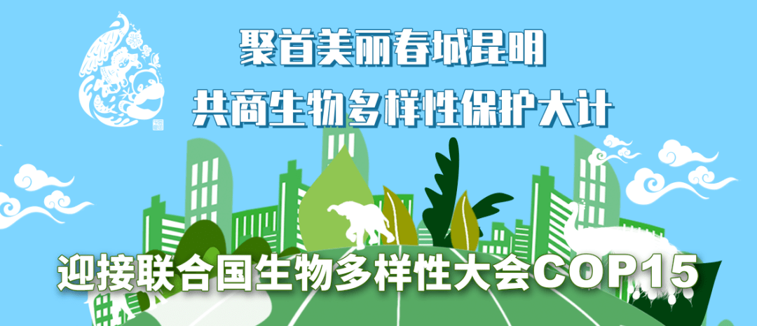 全球生物多样性保护面临资金缺口挑战