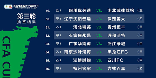 2024澳门精准正版免费,多领域计划验证总结——典范版72.54.80