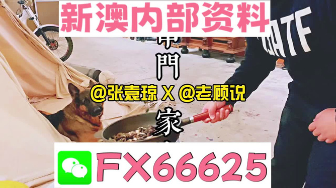 新澳门管家婆一句,动态行动方案评估报告——星辉版173.76.91