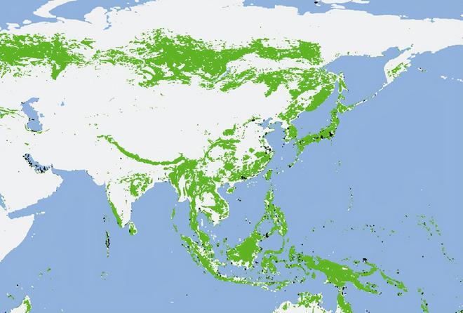 全球植被覆盖地图发布，引发广泛生态热议与关注