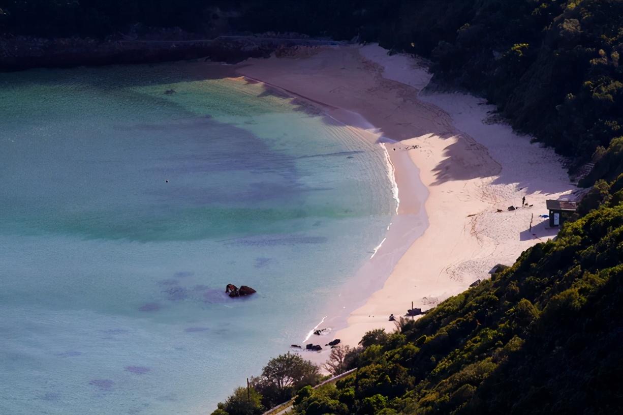 地中海植被恢复计划引发全球关注热潮