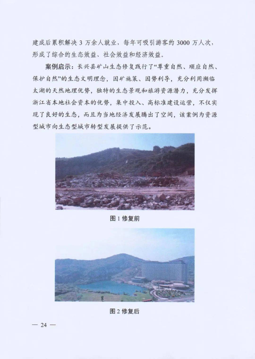 海岸线植被恢复案例获学术界广泛赞誉，影响与实践价值深入解析