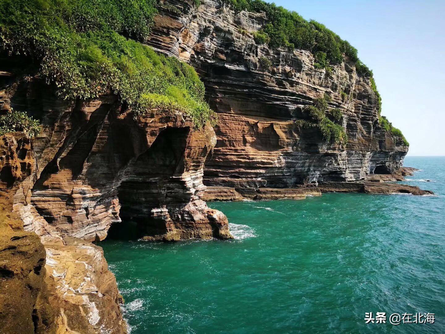 红树林保护技术助力沿海生态复苏