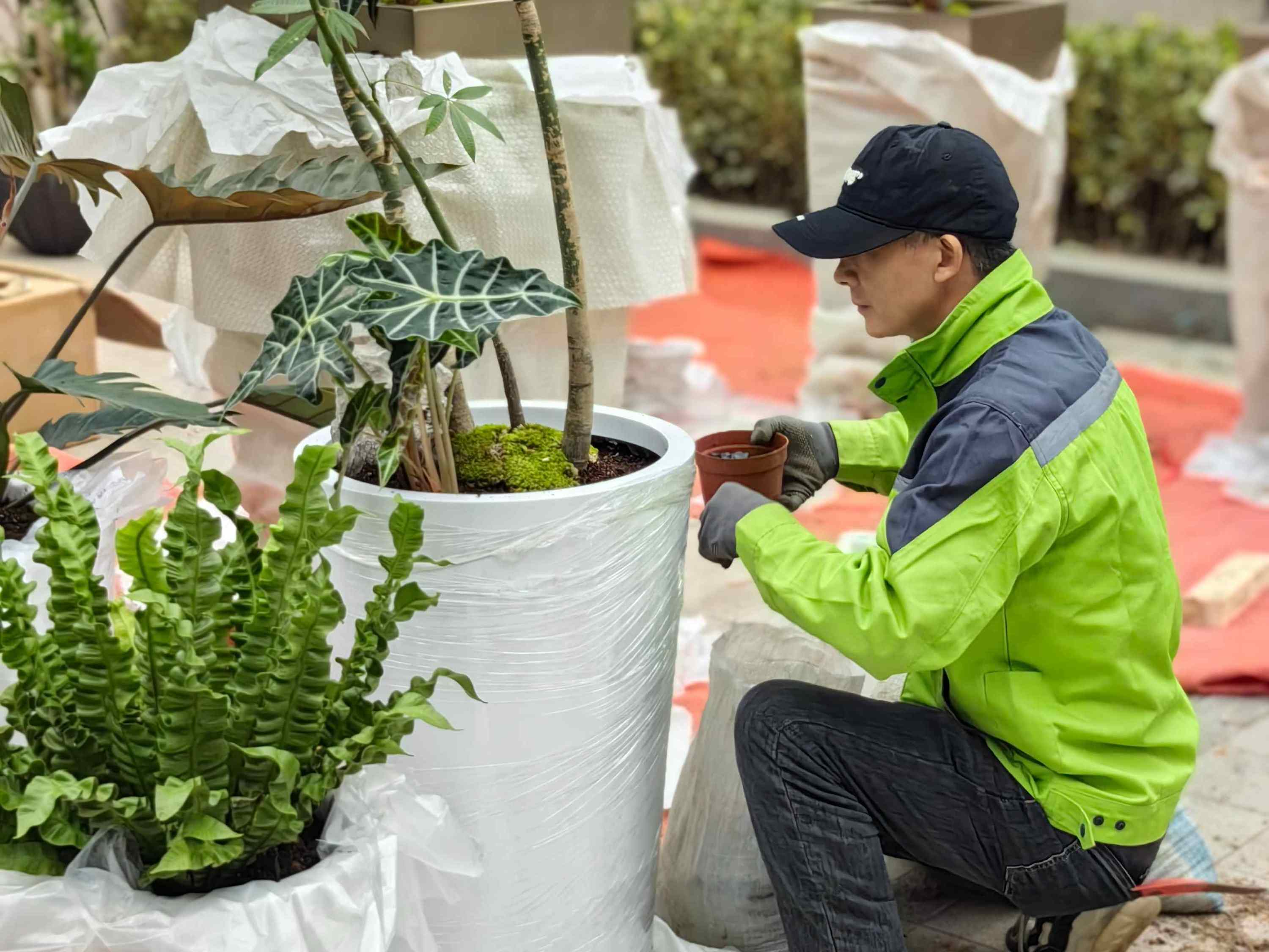 全球绿植配送服务崛起，重塑消费模式的新动力