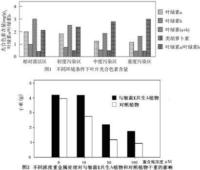 植物对环境污染物的净化机制深度研究揭秘