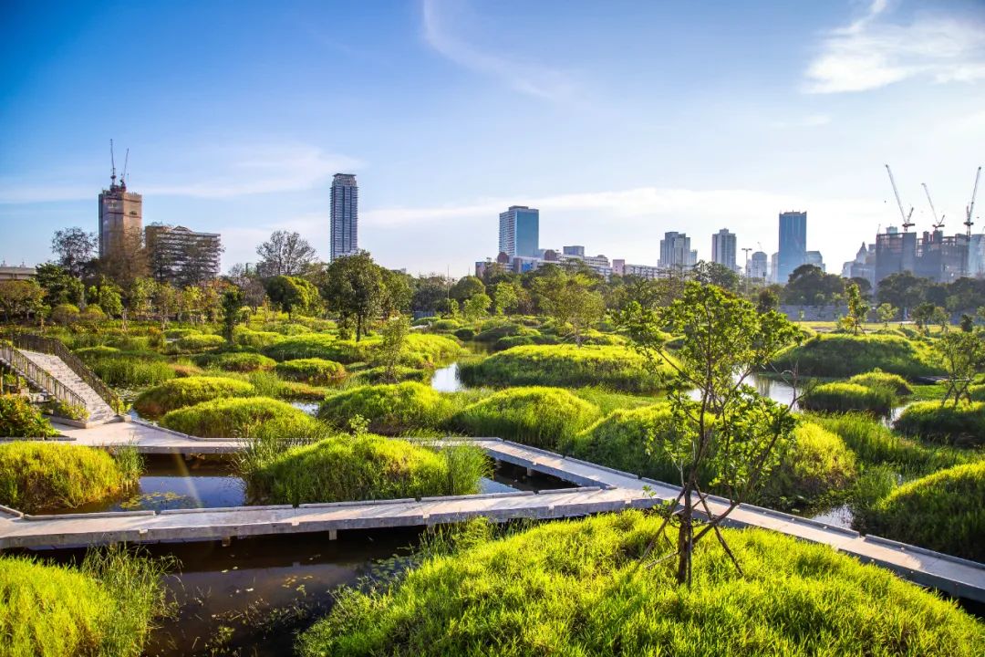 城市园林设计助力气候友好型城市建设