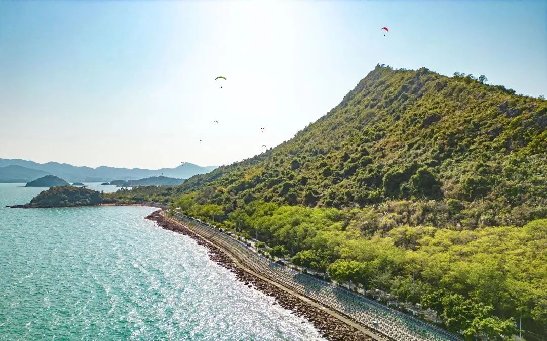 沿海植被对海岸线保护效果的研究验证