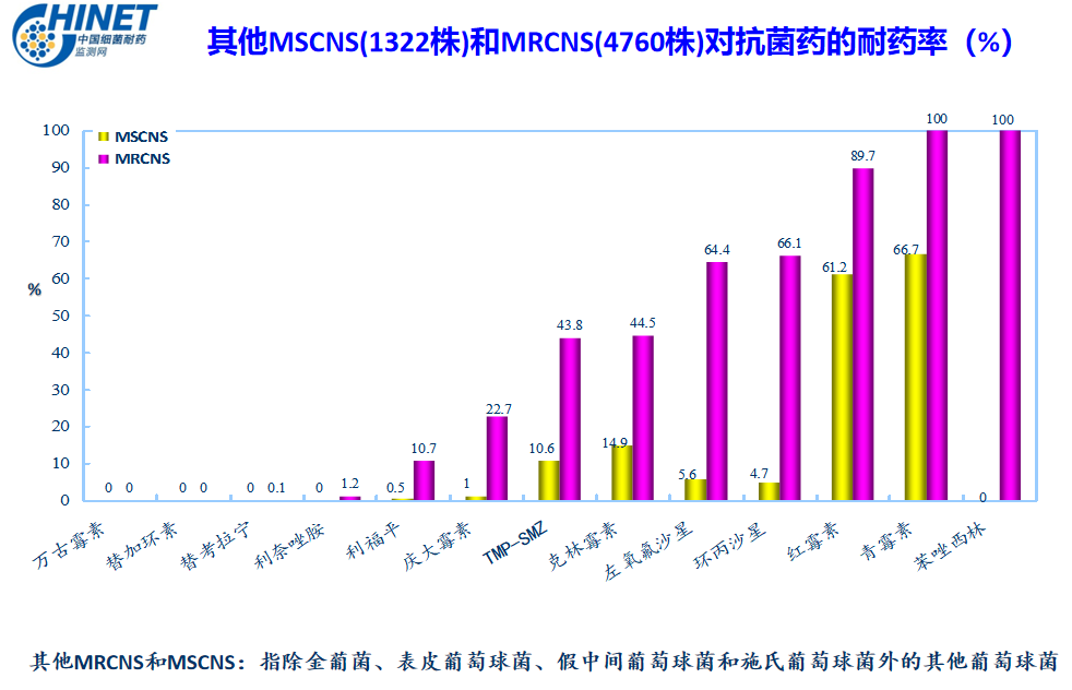 新型抗生素研发突破，耐药性问题解决方案即将到来