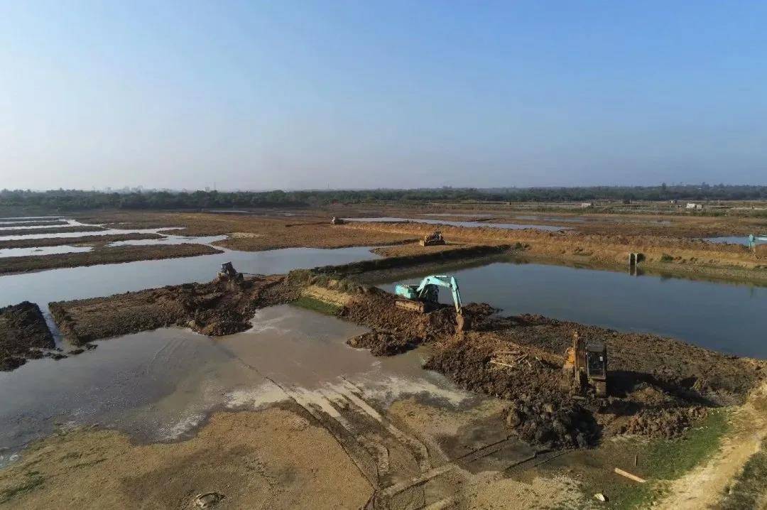 人工湿地修复项目成功实施，生物多样性显著回升的范例篇章