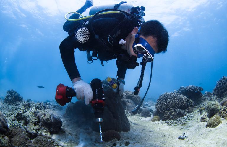 水下摄影技术革新引领海洋生态研究重大突破