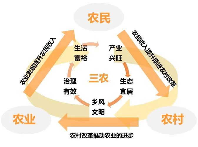 乡村振兴提速与农业产业链重塑重塑城乡格局新篇章