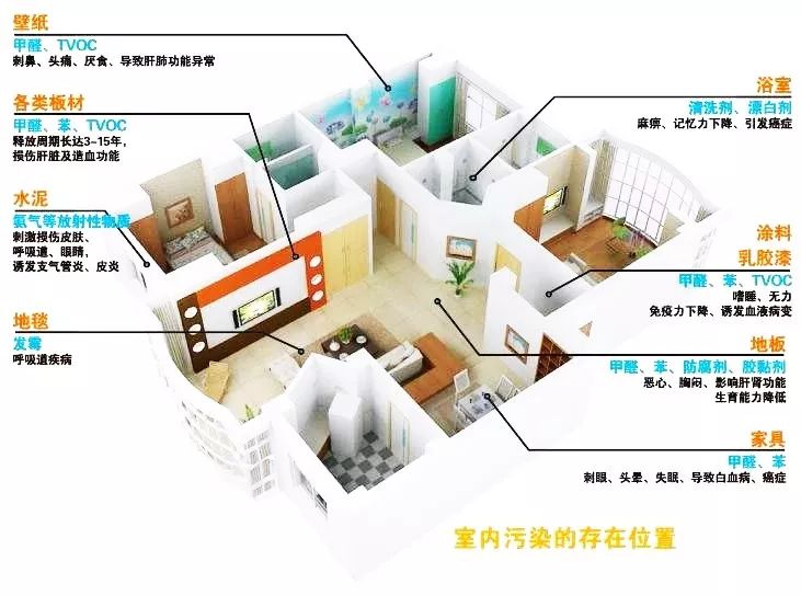 家庭装修除味新方法，活性炭与通风联手使用技巧