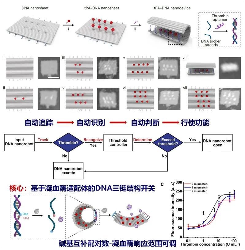 纳米技术助力精准医疗实现突破