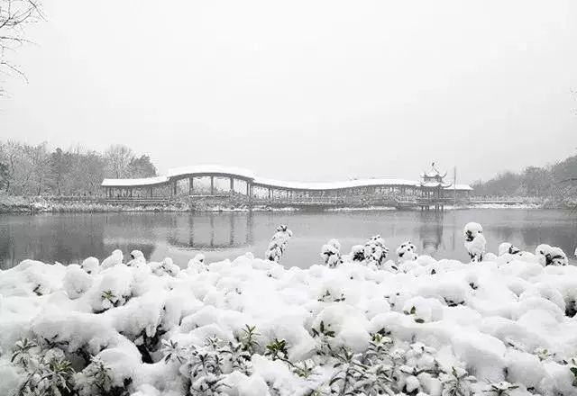 冰雪世界中的美食温暖探访记