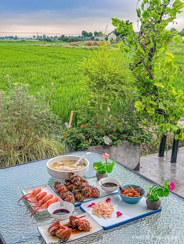 稻田里的农家乐美食之旅