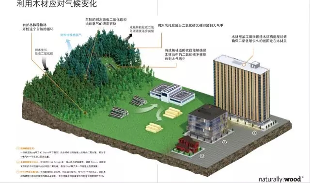 可持续森林资源管理与绿色建筑发展的协同合作推动绿色未来进步