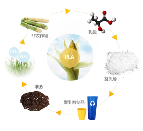 可降解材料替代品在日常生活中的应用及其长远影响分析