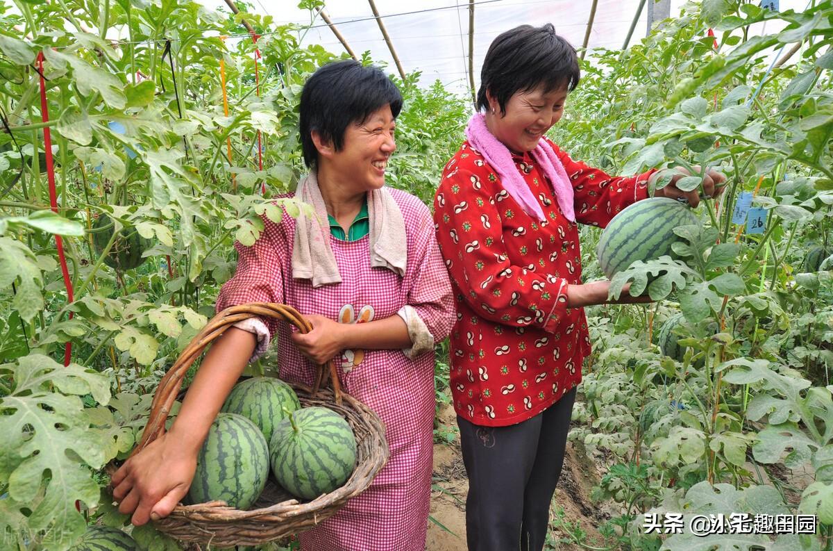 气候变化威胁生物多样性，保护行动刻不容缓！