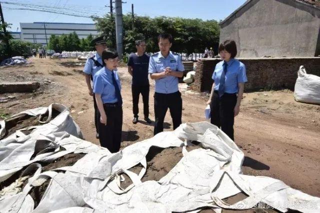 江苏南通启动长江生态修复工程，重塑绿水青山的美丽画卷