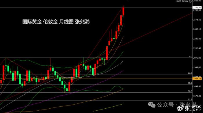 金价震荡调整走势分析与展望，市场趋势解读与未来展望