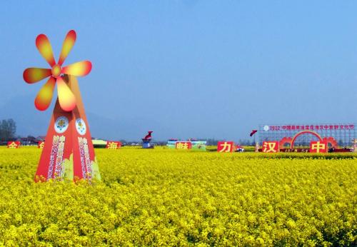 陕西汉中油菜花海旅游节，金色盛宴邀您共赏