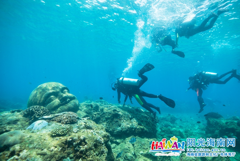 海南分界洲岛潜水项目游客激增，深海魅力吸引无限探索者