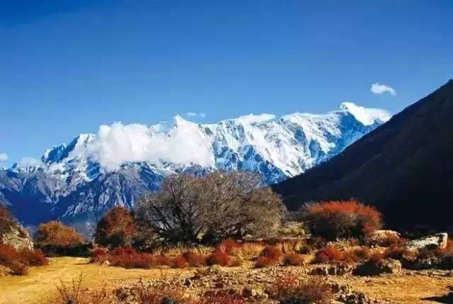 探秘雪域高原魅力，南迦巴瓦峰冬季景区人气持续走高