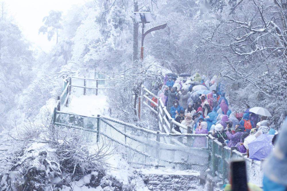 四川青城山冬季登山观云海成热门活动