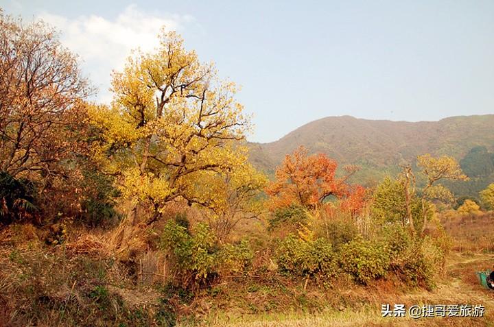 安徽黟县油画村艺术体验之旅启动