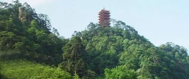 重庆北碚缙云山冬季登山赏雪体验，自然之美与冬日乐趣的融合