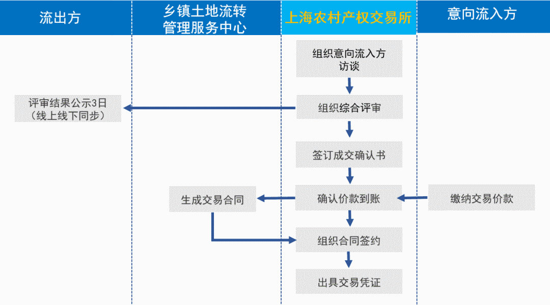 农村土地流转交易平台启动，推动农业规模化发展的关键路径